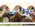  Carrera: P.Rheffissimo Caballo: Scholarship Monta: R.Sousa